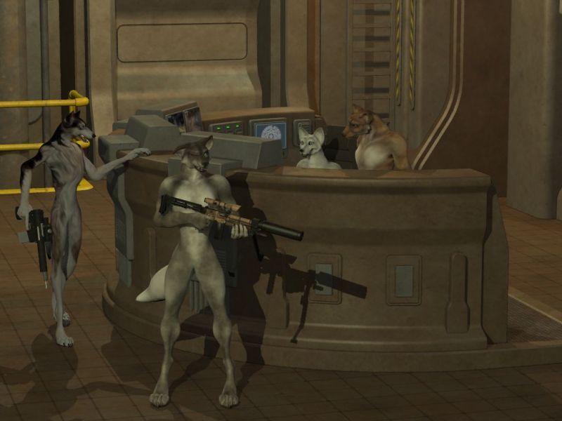 Cat On Level 4 P10
Just a little fun.
