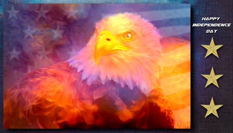 happy independence day
