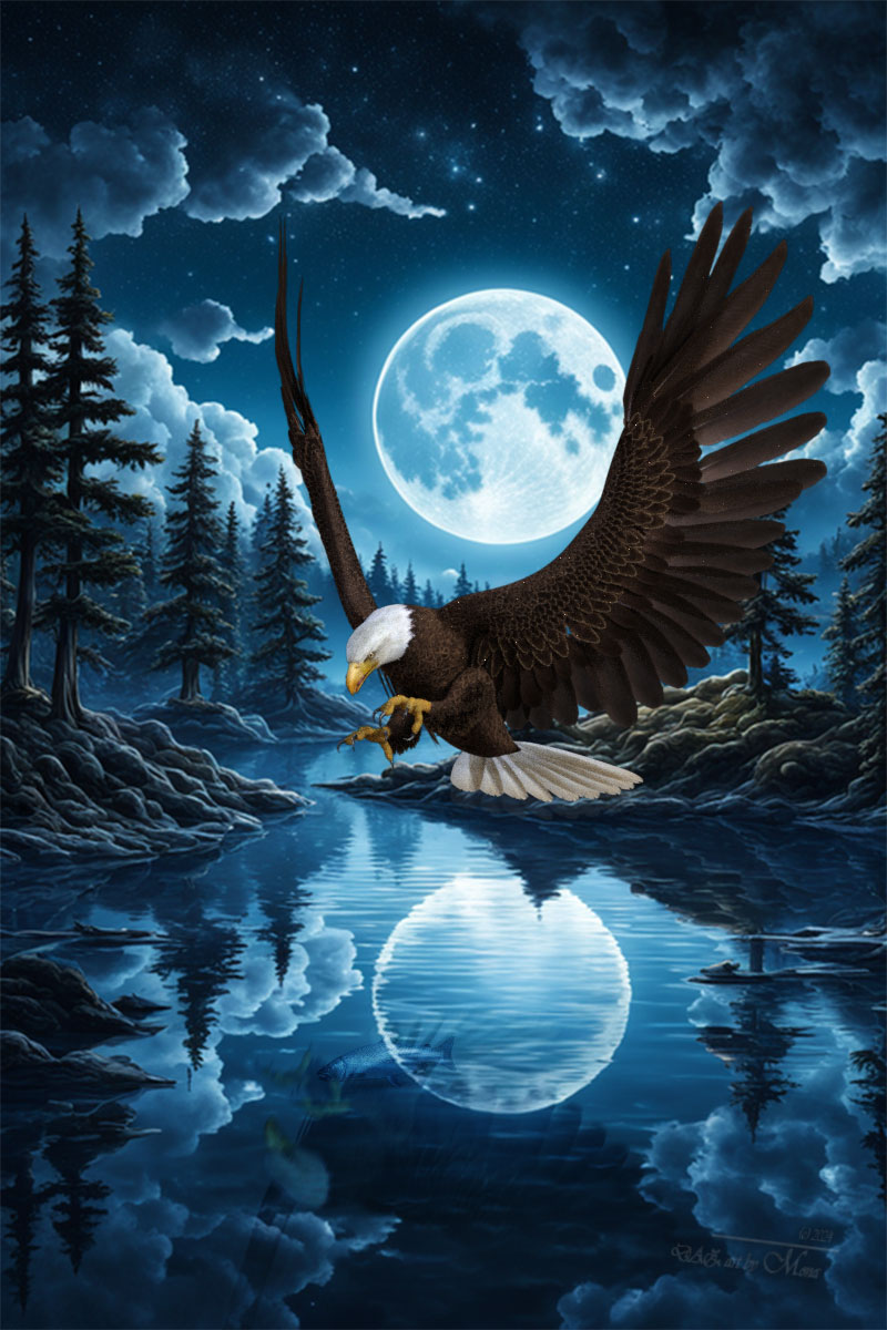 Abendessen beim Mondschein
